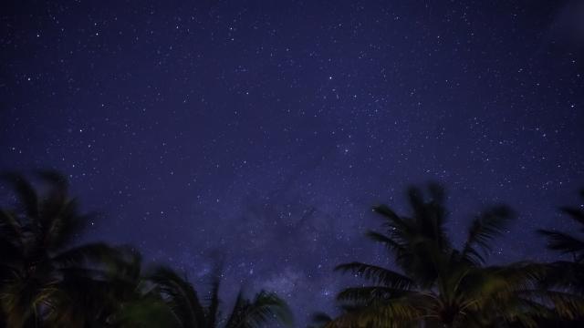 Spend your evenings stargazing
