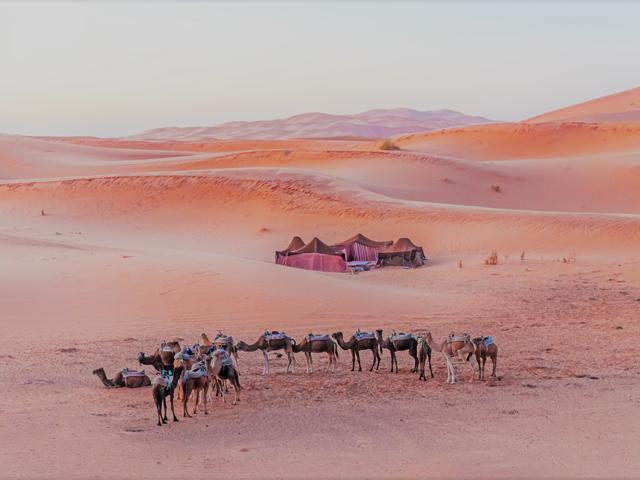 The Best Places to Visit in Saudi Arabia