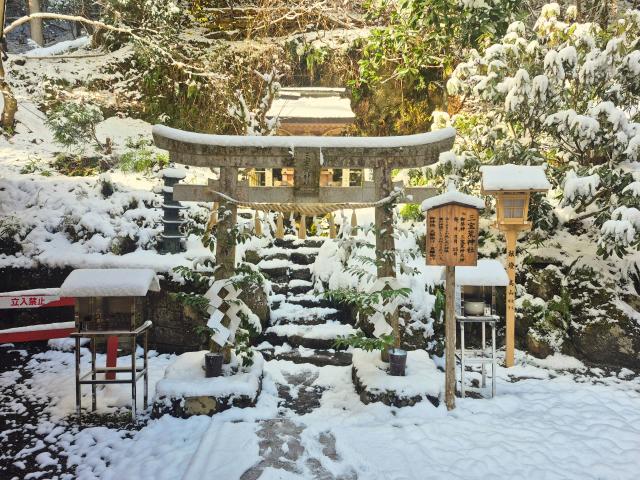 The Other Side of Japan