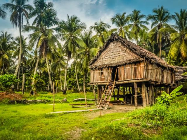 Sepik River Homestay - Papua New Guinea