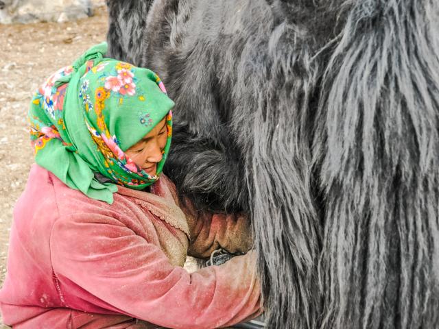 Experience rural Tajik life