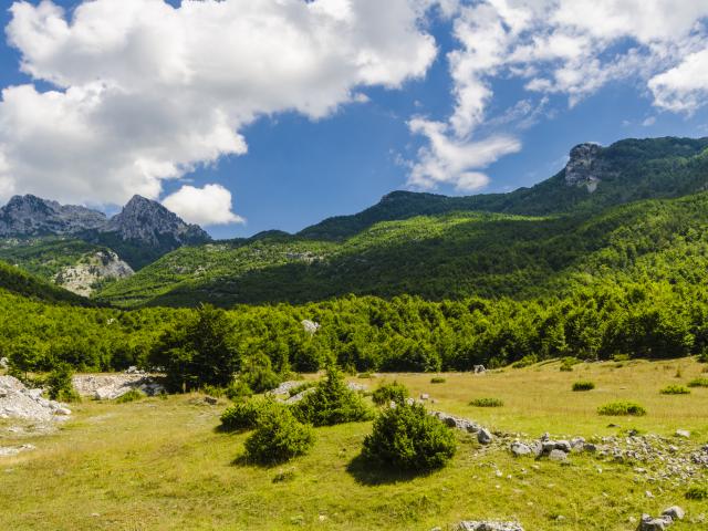 Step into the wild in the Accursed Mountains