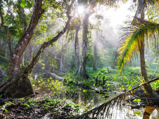 Undiscovered Costa Rica Inland Secrets