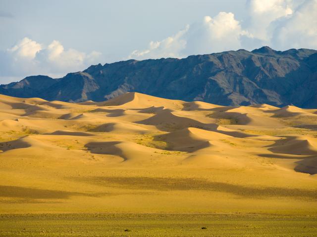 The Mongolian Gobi Desert