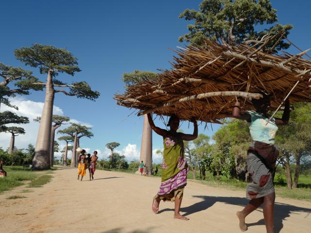 Western Madagascar