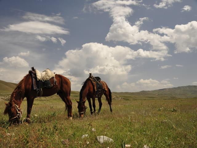Trek the Silk Road on horseback