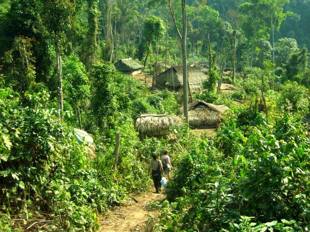 Discover hill tribe villages on foot