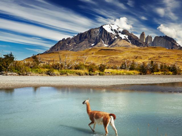 SOUTHERN PATAGONIAN PEAKS