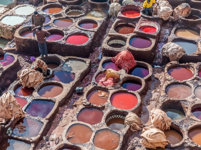 Explore the leather tanneries