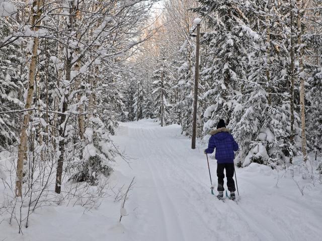 Try some Nordic cross-country skiing