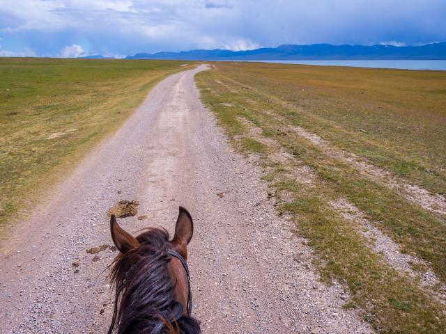 Explore the scenic area on horseback