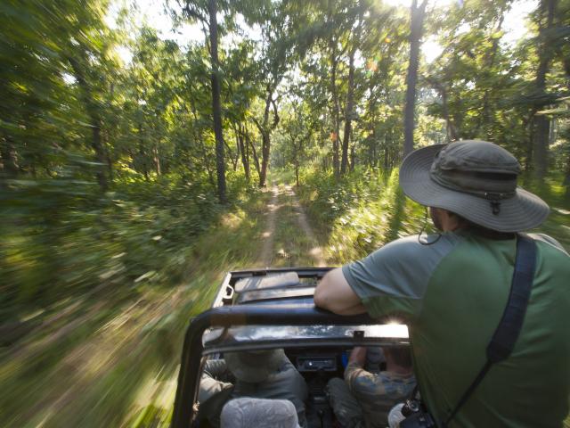 Take a jeep safari in Bardia
