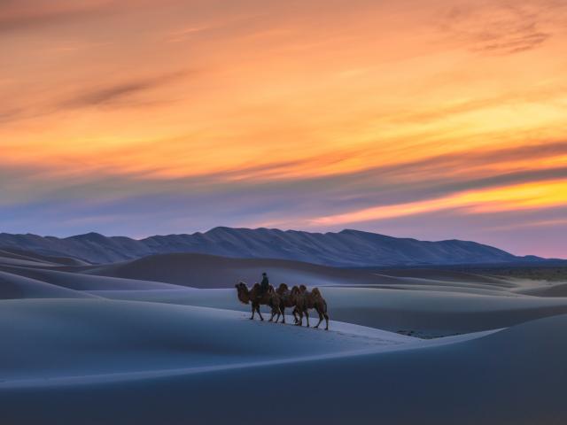 Ride a camel on the Singing Dunes