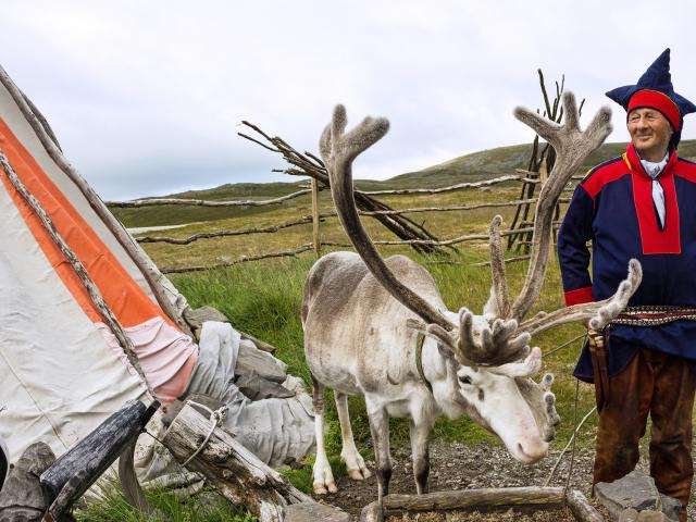 Learn about Sami culture