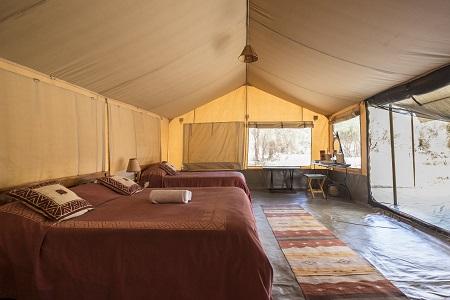 Porini Amboseli Lodge, Amboseli National Park
