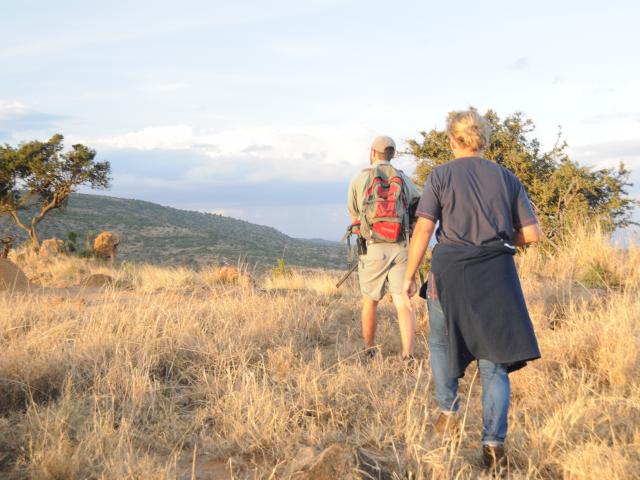 Keep active with a walking safari