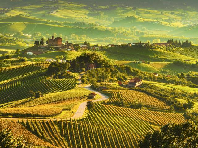 Italy: Walking & Wine in the Southern Alps