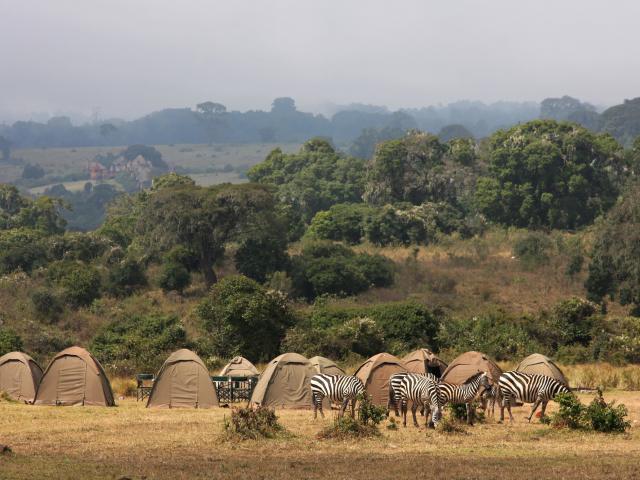 Fly camp under the African starry sky