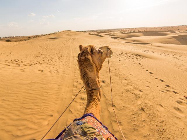 Go on a sunset camel ride in the desert