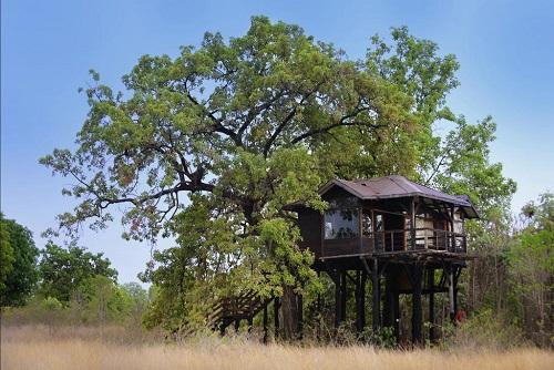 Pench Tree Lodge, Pench Tiger Reserve