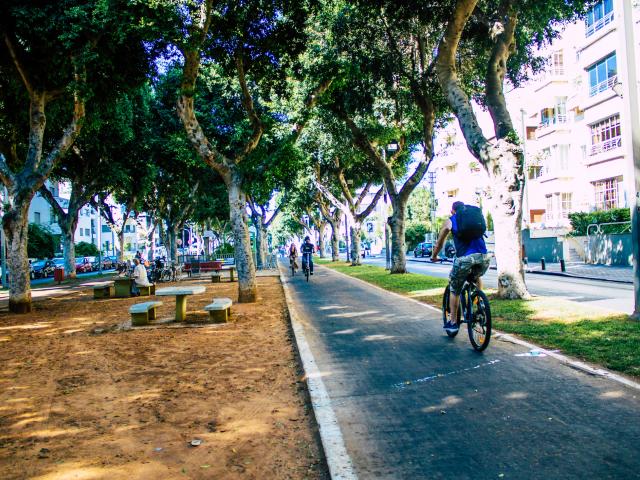 Take a city bike ride