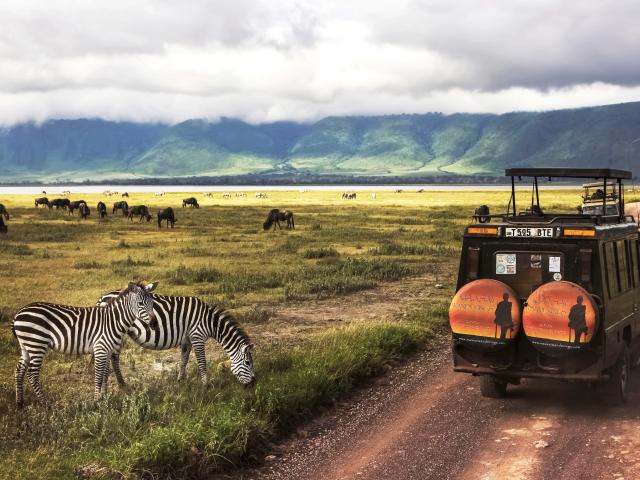 Safari in the Ngorongoro crater