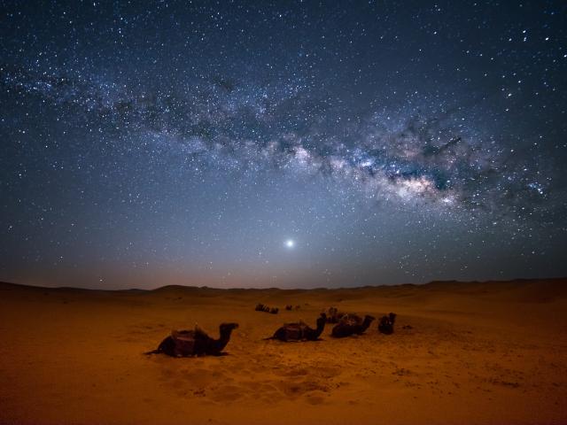 Sleep under the stars in the desert