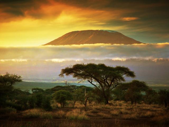 Safari in the shadow of Kilimanjaro