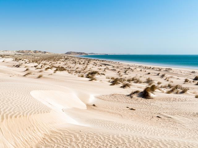 Arabian Deserts of Oman