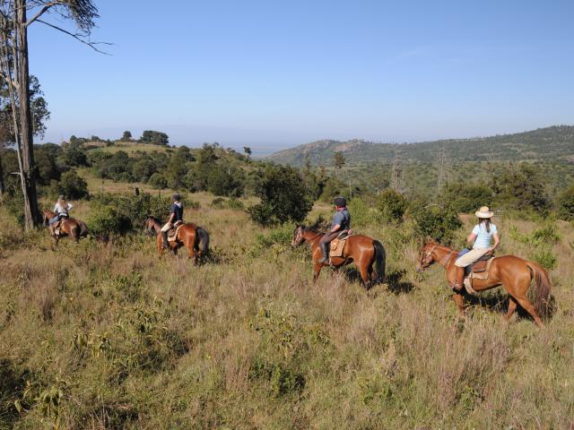Take a safari trek by horseback