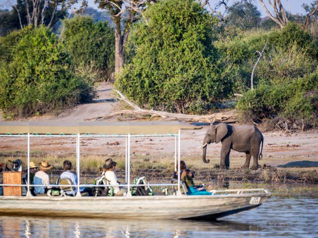 Cruise along the Chobe River