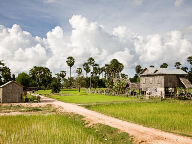 Cycle through rural Cambodia