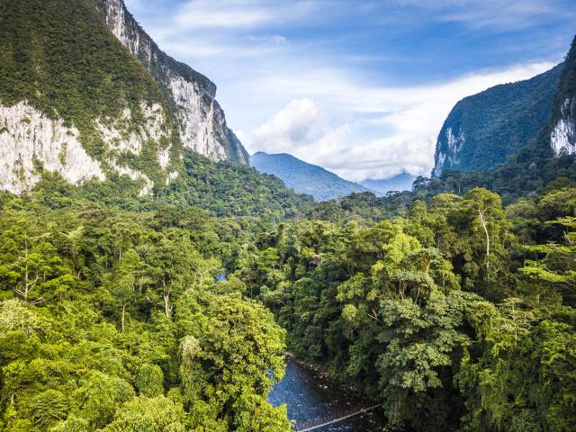 Undiscovered Borneo