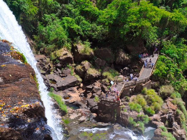 Hike trails around Iguazu Falls