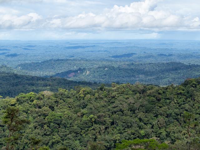Ecuadorian Amazon