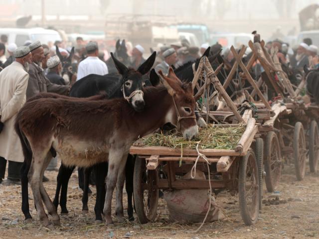 Visit the Sunday Market in Kashgar