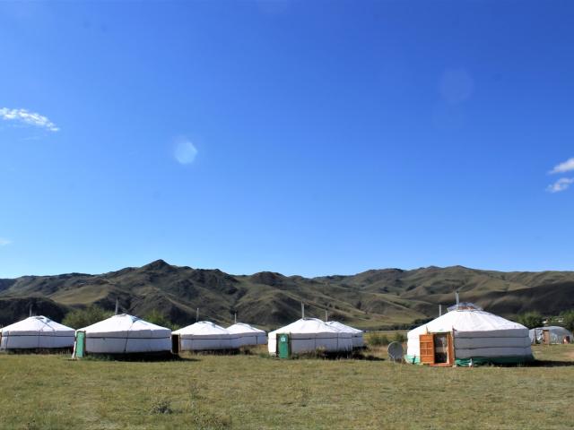 Anja Ger Camp