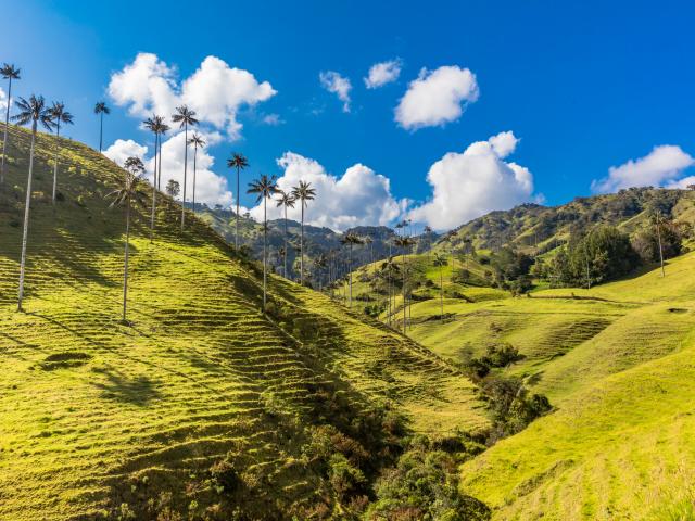 Peru and Colombia: From the Inca Highlands to the Caribbean Coast