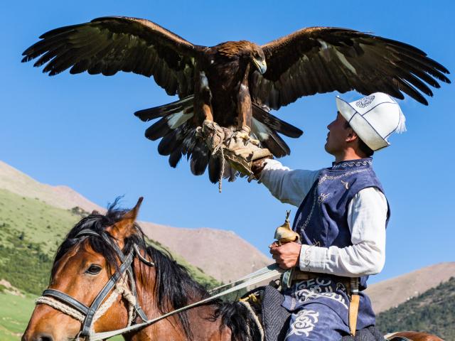 Experience incredible eagle hunting