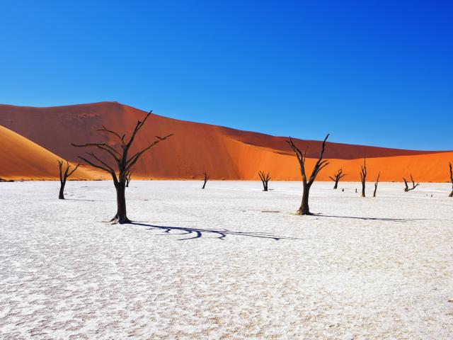 Namibia: Sands of Time