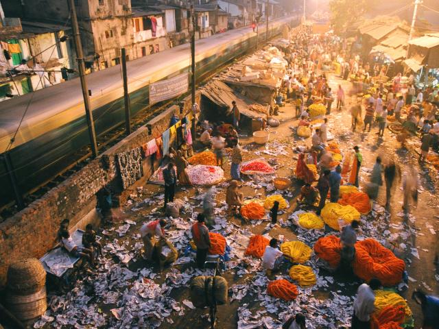 Visit Kolkata's colourful flower market