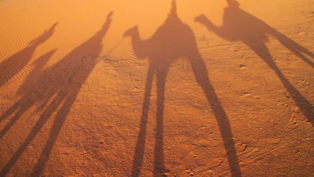 Ride camels through the desert