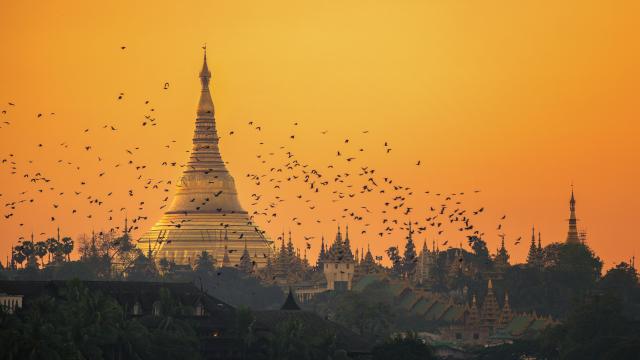 See the Shwedagon Pagoda turn gold