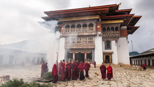 Visit Gangtey Monastery