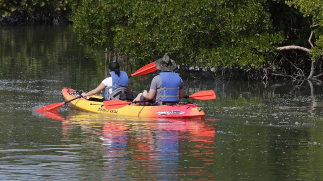 Kayak in Juan Venado Wildlife Refuge