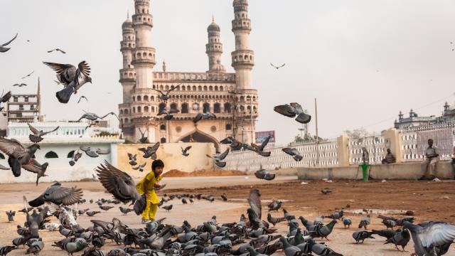 Explore Hyderabad with Jonty