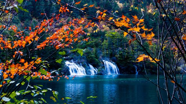 Get lost in the magical scenery of Jiuzhaigou National Park