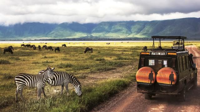 Safari in the Ngorongoro crater