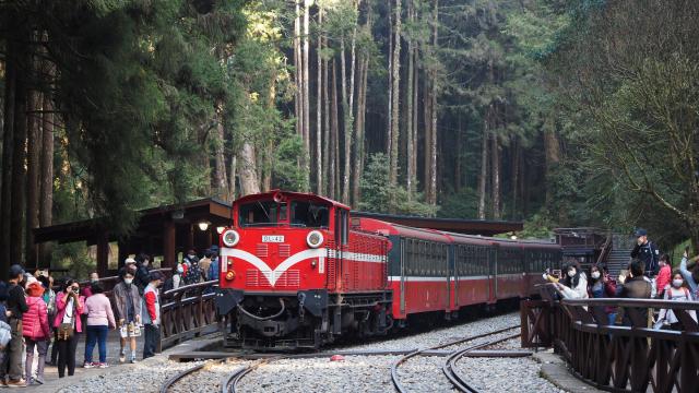 Ride the scenic Alishan Forest Railway