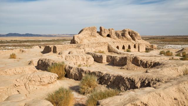 Discover the Desert Citadels